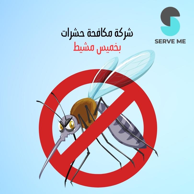 شركة مكافحة حشرات بخميس مشيط  | 0540371285